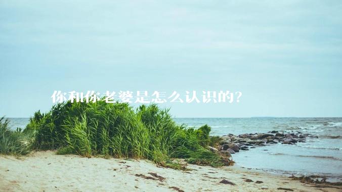 你和你老婆是怎么认识的？